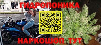 a pvp Аша